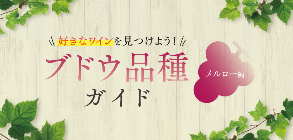 ブドウ品種ガイド - メルロー編
