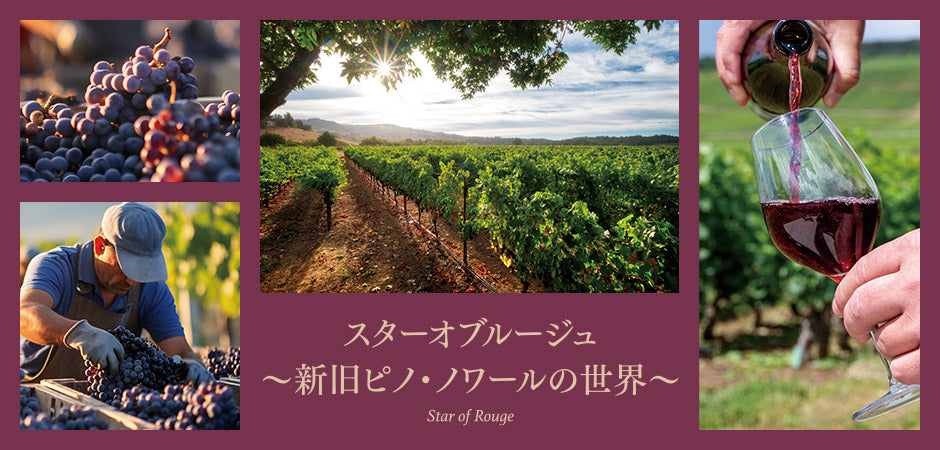 スターオブルージュ - 新旧ピノ・ノワールの世界