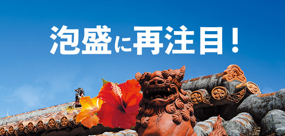 泡盛に再注目！