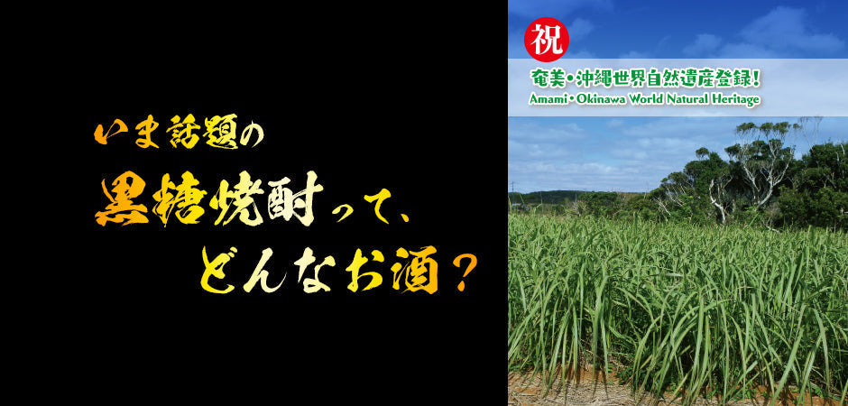 いま話題の黒糖焼酎ってどんなお酒？