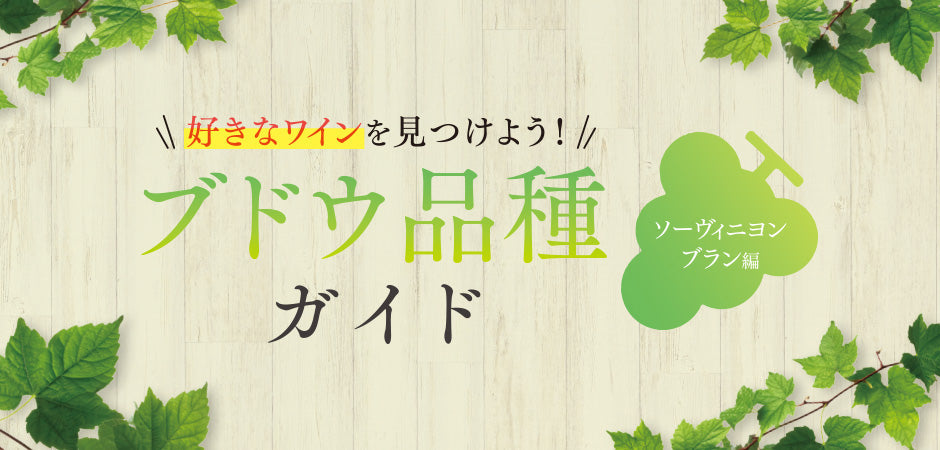 ブドウ品種ガイド - ソーヴィニヨンブラン編