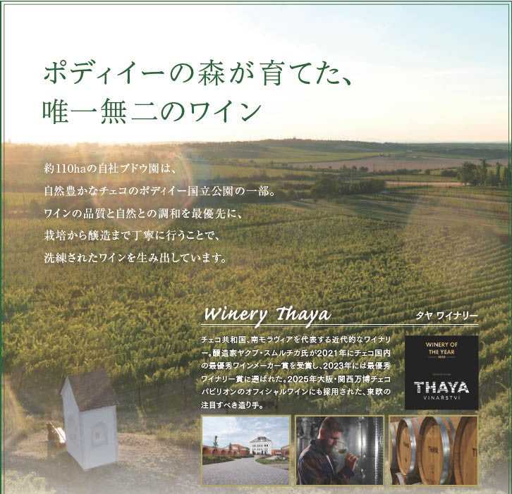 タヤ（THAYA）