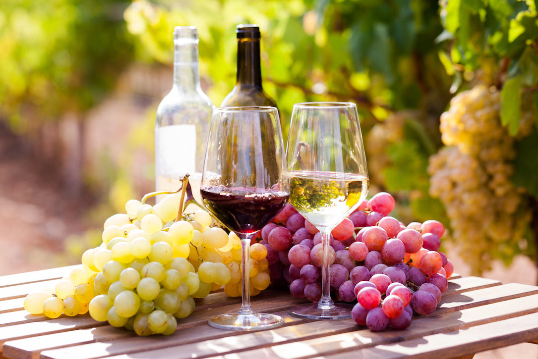 ブドウ園にあるテーブルに置かれた赤と白のワインとブドウ