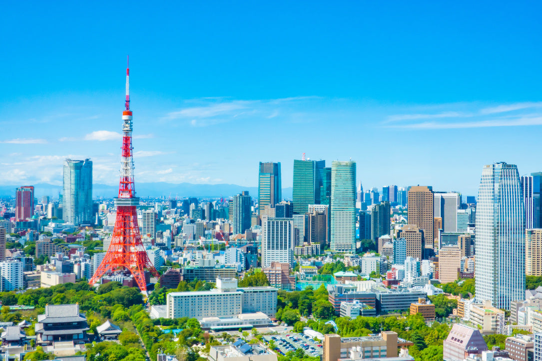 東京タワーを望む街の景観