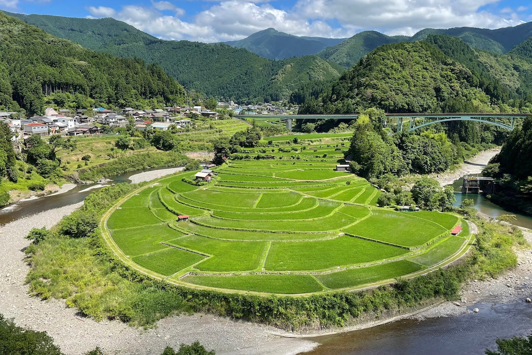 和歌山県有田郡有田川町清水にある水田「あらぎ島」