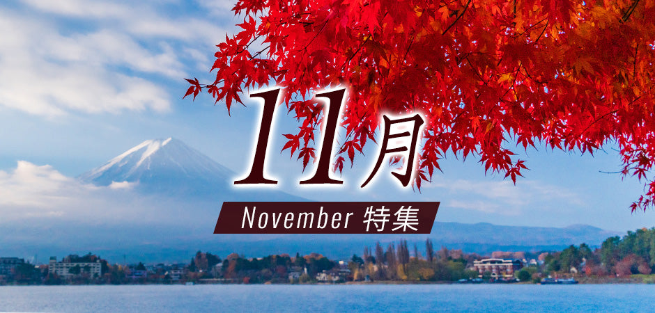 11月特集