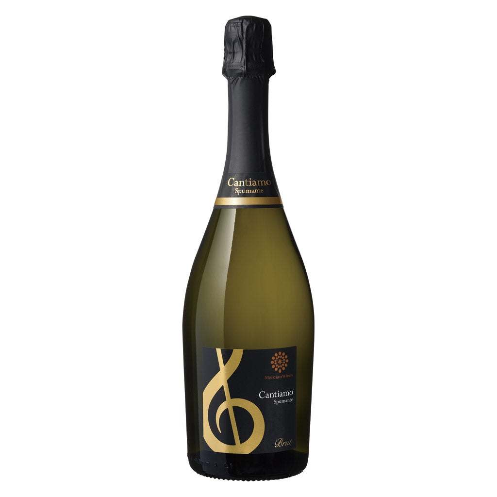 CHAMPAGNEGUN シャンパンガン SpecialEdition CHAMPAGNE GUN